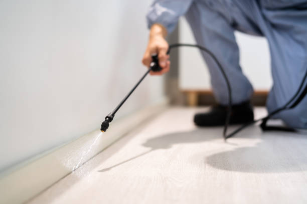 Bed Bug Pre-Treatment Preparation Assessment in Cutten