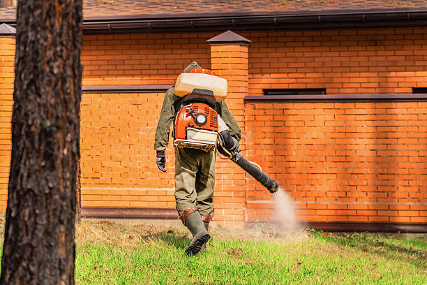 Bed Bug Clearance Verification and Documentation in Cutten